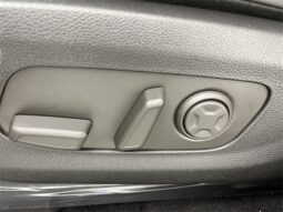 
 Kia Carnival Hybrid full									