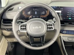 
 Kia Carnival Hybrid full									