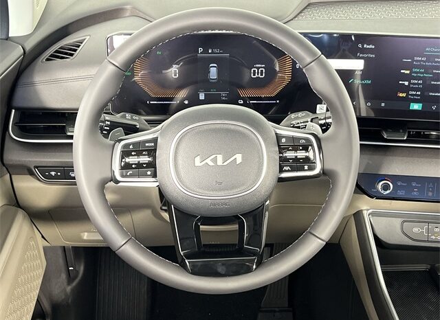 
 Kia Carnival Hybrid full									