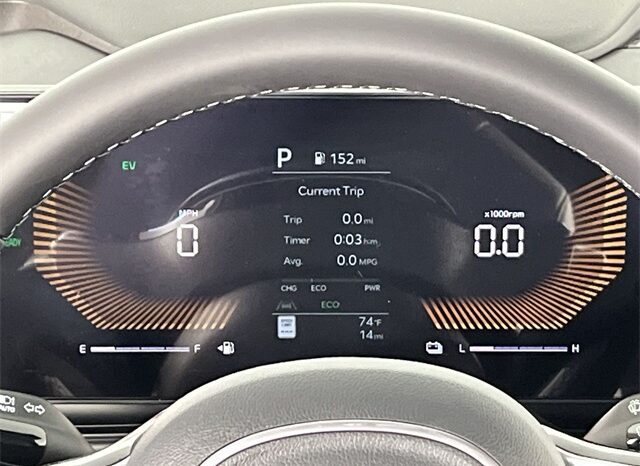 
 Kia Carnival Hybrid full									