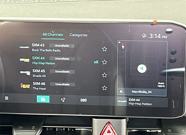 
 Kia Carnival Hybrid full									