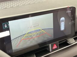 
 Kia Carnival Hybrid full									