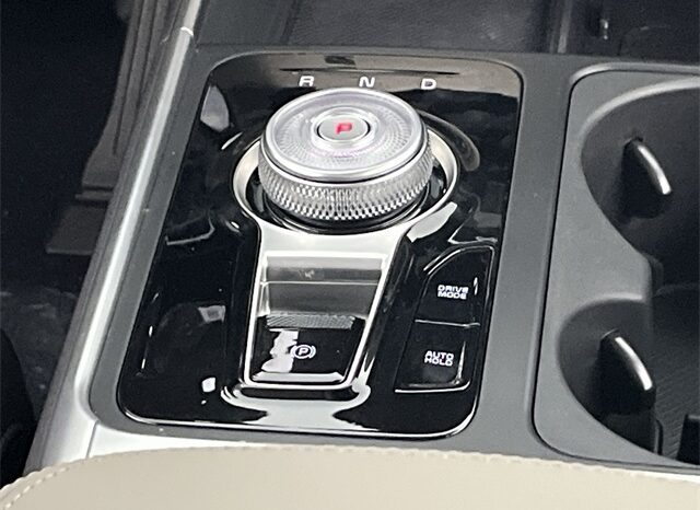 
 Kia Carnival Hybrid full									