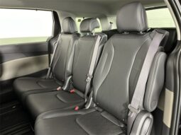 
 Kia Carnival Hybrid full									