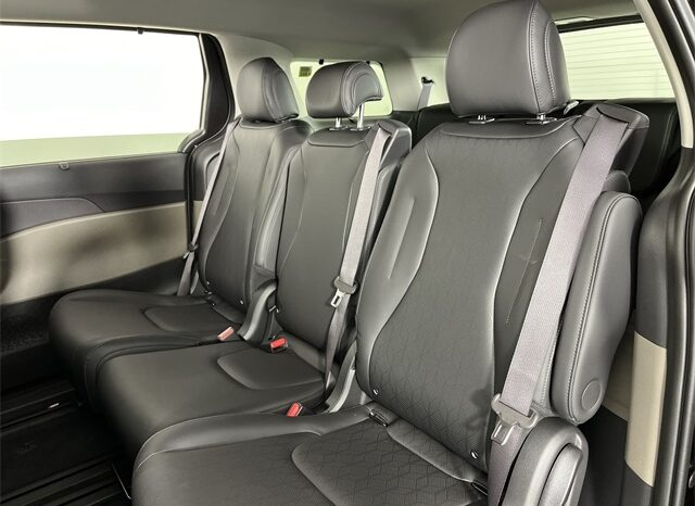 
 Kia Carnival Hybrid full									