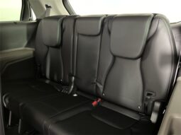 
 Kia Carnival Hybrid full									