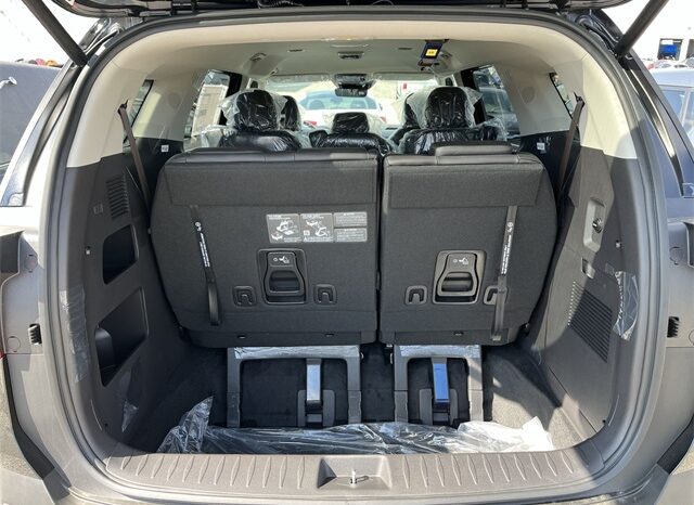 
 Kia Carnival Hybrid full									