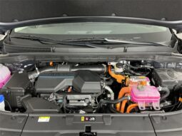 
 Kia Carnival Hybrid full									