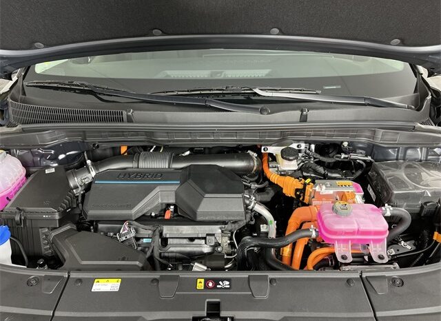 
 Kia Carnival Hybrid full									