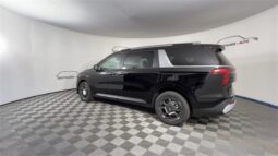 
 Kia Carnival Hybrid full									