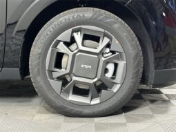 
 Kia Carnival Hybrid full									