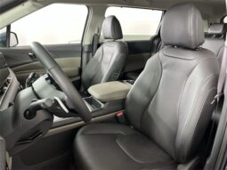 
 Kia Carnival full									