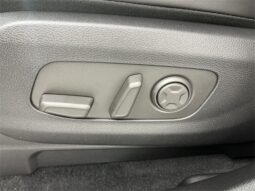 
 Kia Carnival full									