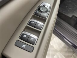 
 Kia Carnival full									