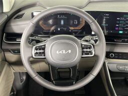 
 Kia Carnival full									