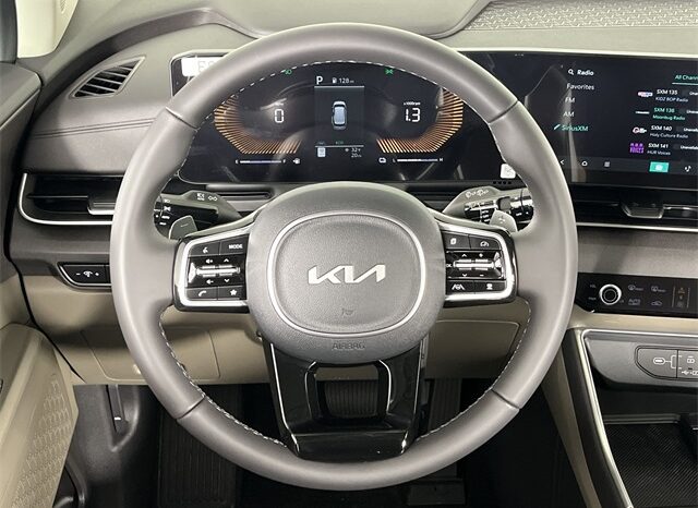 
 Kia Carnival full									