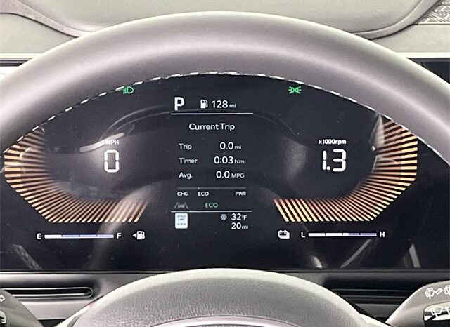 
 Kia Carnival full									