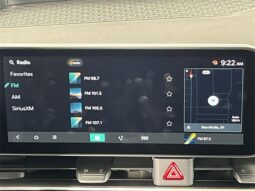 
 Kia Carnival full									