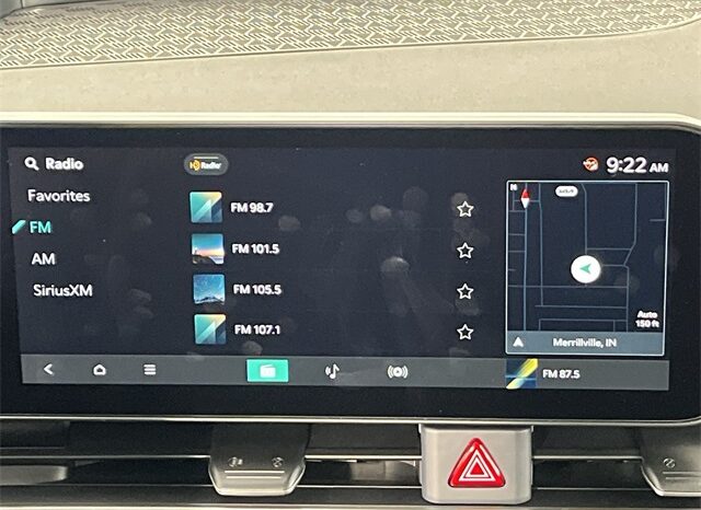
 Kia Carnival full									