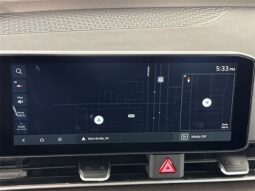 
 Kia Carnival full									