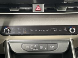 
 Kia Carnival full									