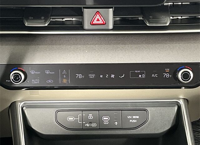 
 Kia Carnival full									
