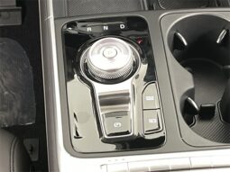 
 Kia Carnival full									
