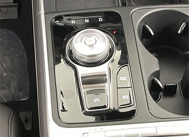 
 Kia Carnival full									