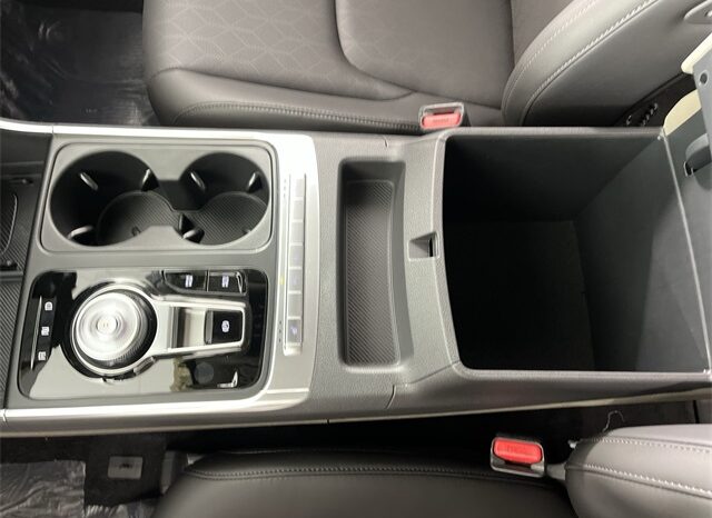 
 Kia Carnival full									