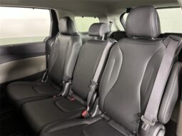 
 Kia Carnival full									