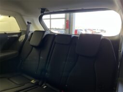 
 Kia Carnival full									
