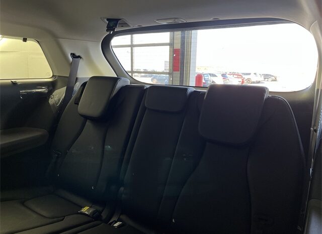 
 Kia Carnival full									