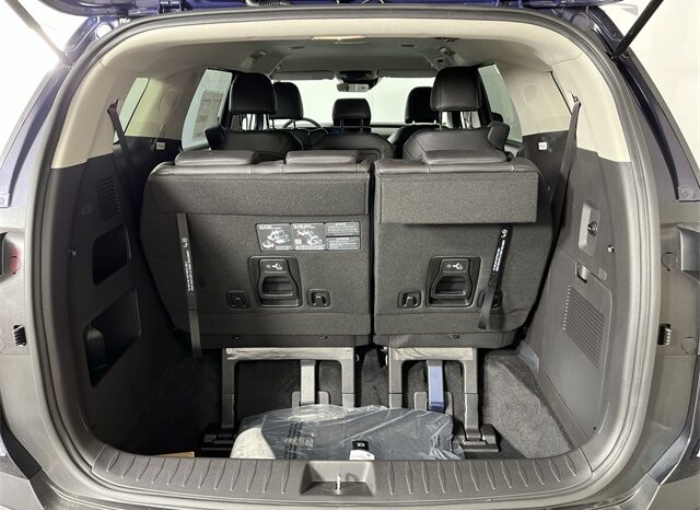 
 Kia Carnival full									