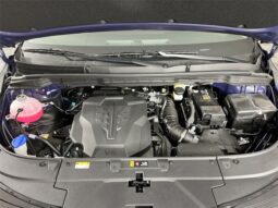 
 Kia Carnival full									