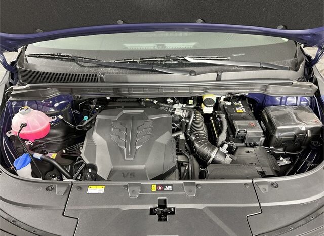 
 Kia Carnival full									