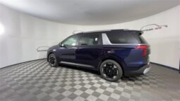 
 Kia Carnival full									