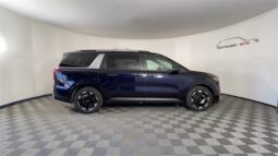 
 Kia Carnival full									