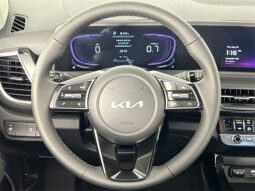 
 Kia Seltos full									