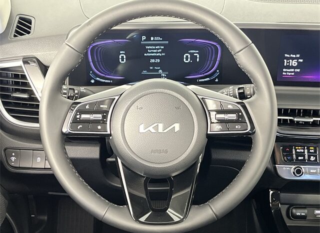 
 Kia Seltos full									