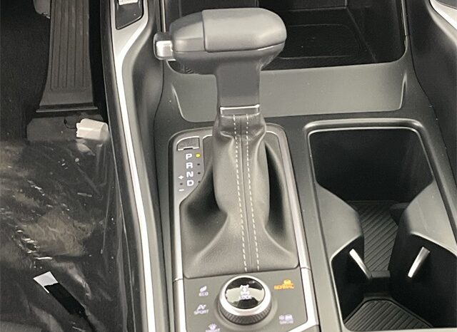 
 Kia Sorento full									