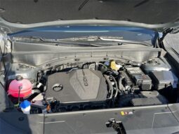 
 Kia Sorento full									
