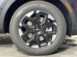 
 Kia Sorento full									