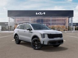 
										Kia Sorento full									