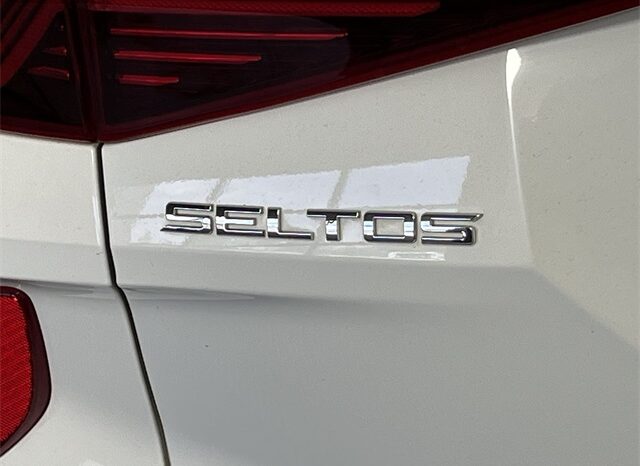 
 Kia Seltos full									