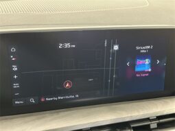 
 Kia Telluride full									