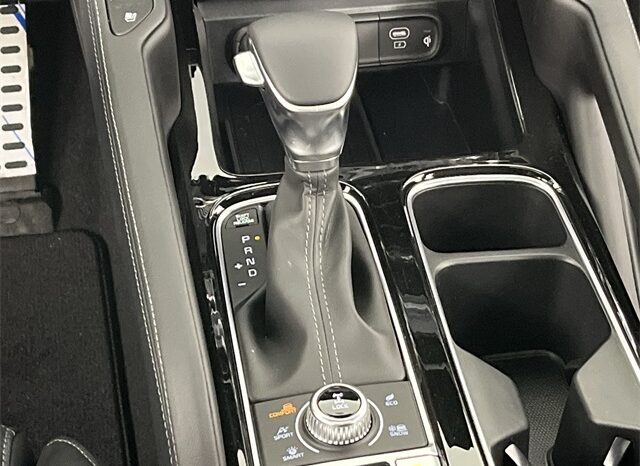 
 Kia Telluride full									