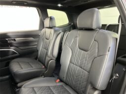 
 Kia Telluride full									