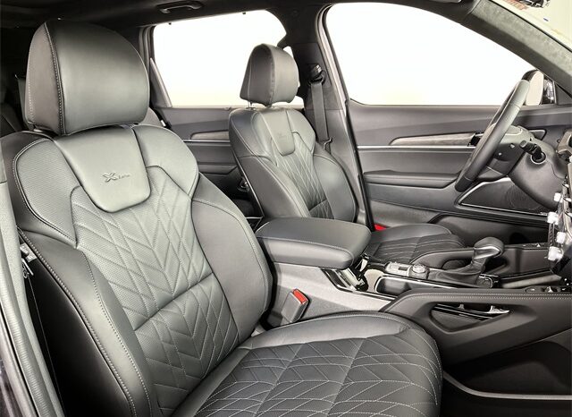 
 Kia Telluride full									