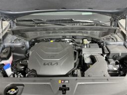 
 Kia Telluride full									