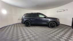 
 Kia Telluride full									